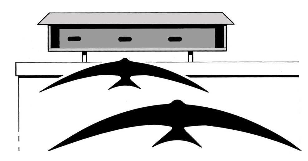 effective-LAB-crssmedia